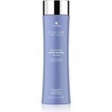 Alterna Caviar Restructuring Bond Repair 250 ml Şampuan