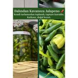 ALTIN GIDA 45 1/2 Kg Jalapeno Acı Biber Turşusu Kendi Bahçemizden