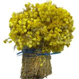 Altın Otu 1kg - 0,5 gr