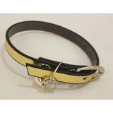 ALTIN RENK VARAKLI METAL TOKALI KLASİK KEDİ TASMASI