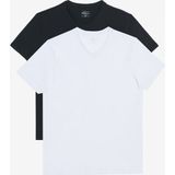 Altınyıldız Classics 2'li Slim Fit Dar Kesim V Yaka %100 Pamuk Kısa Kollu T-Shirt Erkek Günlük Stil - Siyah - Beyaz