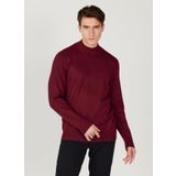 Altınyıldız Classics 4A4924100005 Bordo Yarım Balıkçı Yaka Standart Erkek Kazak