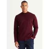 Altınyıldız Classics 4A4924100057 Bordo Yarım Balıkçı Yaka Standart Erkek Kazak