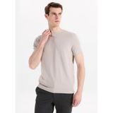 Altınyıldız Classics Bej Erkek T-Shirt PAE090000012_BEJ