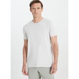 Altınyıldız Classics Bisiklet Yaka Açık Gri Erkek T-Shirt 4A4800000011_AGR - 3XL
