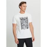 Altınyıldız Classics Bisiklet Yaka Baskılı Ekru Erkek T-Shirt ACE091252408_EKR - M