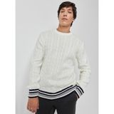 Altınyıldız Classics Bisiklet Yaka Standart Ekru Erkek Kazak 4A4923100009 - 2XL