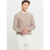 Altınyıldız Classics Bisiklet Yaka Standart Vizon Erkek Kazak ACE049261479_VIZ - 2XL
