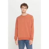 Altınyıldız Classics Erkek Açık Kahve Standart Fit Normal Kesim Içi Polarlı 3 Iplik Bisiklet Yaka Sweatshirt - Açık Kahverengi