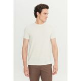 ALTINYILDIZ CLASSICS Erkek Bej Keten Slim Fit Dar Kesim Bisiklet Yaka Jakarlı Tişört