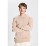 Altınyıldız Classics Erkek Bej Melanj Standart Fit Normal Kesim Bisiklet Yaka Pamuklu Triko Kazak - 3XL
