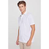 Altınyıldız Classics Erkek Beyaz %100 Pamuk Standart Fit Normal Kesim Polo Yaka Tişört