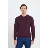Altınyıldız Classics Erkek Bordo-lacivert Standart Fit Normal Kesim Bisiklet Yaka Desenli Triko Kazak - Bordo - Lacivert