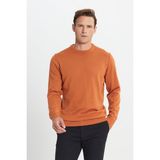 Altınyıldız Classics Erkek Kiremit Bisiklet Yaka Triko Kazak - XL