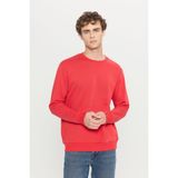 Altınyıldız Classics Erkek Kırmızı Standart Fit Normal Kesim Içi Polarlı 3 Iplik Bisiklet Yaka Pamuklu Sweatshirt