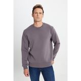 Altınyıldız Classics Erkek Koyu Gri Standart Fit Normal Kesim Içi Polarlı 3 Iplik Bisiklet Yaka Sweatshirt