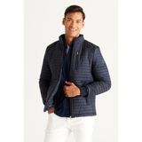 ALTINYILDIZ CLASSICS Erkek Lacivert Standart Fit Normal Kesim Dik Yaka Desenli Mont - 4XL
