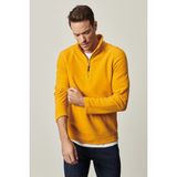 Altınyıldız Classics Erkek Sarı Anti-pilling Tüylenme Yapmayan Standart Fit Dik Yaka Soğuk Geçirmez Polar Sweatshirt - 2XL