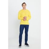 Altınyıldız Classics Erkek Sarı Tüylenme Yapmayan Anti-pilling Standart Fit Normal Kesim Bisiklet Yaka Triko Kazak - 2XL