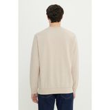 Altınyıldız Classics Standart Fit Normal Kesim 2 Iplik Recycle Pamuklu Bisiklet Yaka Sweatshirt - 2XL - Bej