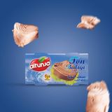 Altunsa Ton Balığı 2×160 G