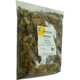 Alvera Collection Ginkgo Biloba Otu Doğal 1000 gr Paket - 1 Paket