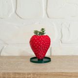 ALVİNA Çilek Saksı - Bioplastik - 10cm