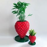 ALVİNA Çilek Saksı - Bioplastik - 15cm