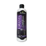 Alweyna Lavanta Ve At Kuyruğu Özlü Bitkisel 400 ml Şampuan