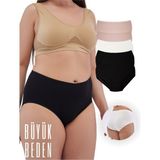 ALYA UNDERWEAR Kadın Büyük Beden Külot Battal Full Brief (8xl, 9xl, 10xl) 5 Farklı Renk 1 Pakette - Çok Renkli