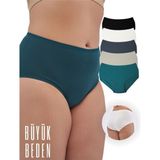 ALYA UNDERWEAR Kadın Büyük Beden Külot Battal Full Brief (8xl, 9xl, 10xl) 5 Farklı Renk 1 Pakette - Füme