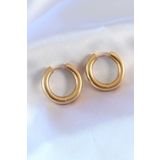 AlyaStore 316L Çelik Gold Renk Halka Model Kadın Küpe