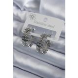 AlyaStore 316L Çelik Gümüş Renk Halka Model Kadın Küpe