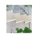 Alyones 4'lü Set Doğal Kavak Ağacı Chinchilla Platformu - Sıçan, Muhabbet Kuşu, Hamster İçin Kafes Aksesuarı