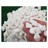Alyones Beyaz Dolomit Taş 1 kg 1,5-2,5 cm Bahçe Taşı Dekoratif Taş Dere Taşı - Renkli