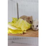 Alyones Çivili Meyve Sebze Asmalı Kuş, Hamster Asılı Tünek, Kuş Mama Tutucu, Doğal Ahşap Kuş Kafesi