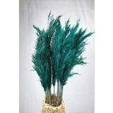 alyones Şoklanmış Renkli Pampas Demeti 10'lu Set (Zümrüt Yeşi)