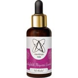 Alze Kimya Hobi Çarkıfelek Esansı 20 ml Mum, Taş Tozu ve Oda Kokusu Esansı