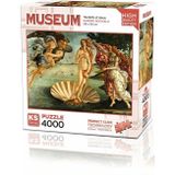 Amalfi 23507 The birth of Venus 4000 Parça Puzzle Kız Erkek Çocuk Oyuncak Eğitici Oyuncaklar