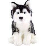 Amalfi 28CM Floppy Siyah Husky Kız Erkek Çocuk Oyuncak Eğitici Oyuncaklar - Çok Renkli