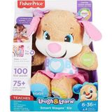 Amalfi FPP83 Fisher-Price® Yaşa Göre Gelişim Eğtici Köpekçiğin Kız Kardeşi Kız Erkek Çocuk Oyuncak Eğitici - Çok Renkli