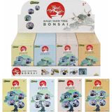 Amalfi Gloopy Sihirli Kar Ağacı Bonsai Yapım Seti Kız Erkek Çocuk Oyuncak Eğitici Oyuncaklar