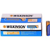 Amalfi Gold Wilkinson Ince Pil R03 Kız Erkek Çocuk Oyuncak Eğitici Oyuncaklar - Çok Renkli