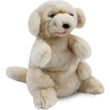 Amalfi Golden Retriever Kukla 30CM Kız Erkek Çocuk Oyuncak Eğitici Oyuncaklar - Çok Renkli