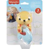 Amalfi HJW11 Fisher-Price Eğlenceli Dostlar Dişlik ve Çıngıraklar Kız Erkek Çocuk Oyuncak Eğitici Oyuncakla