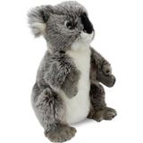 Amalfi Koala Kukla (Tüm Beden) 26CM Kız Erkek Çocuk Oyuncak Eğitici Oyuncaklar - Çok Renkli