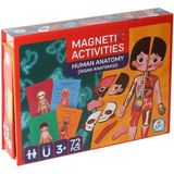 Amalfi LC986 Manyetik Aktivite Insan Anatomisi -Laço Kız Erkek Çocuk Oyuncak Eğitici Oyuncaklar - Çok Renkli