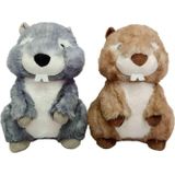 Amalfi PB31609-23 Peluş Oturan Sincap 23cm - 1adet stokta olan gönderilir Kız Erkek Çocuk Oyuncak Eğitici O