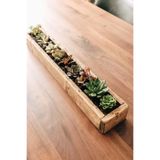 Amaranda Botanique Ahşap Saksı Uzun Ince Long Tree Natural (50 cm-8 cm-8 cm)
