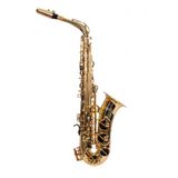 Amati AAS33-OT Eb Alto Saksafon